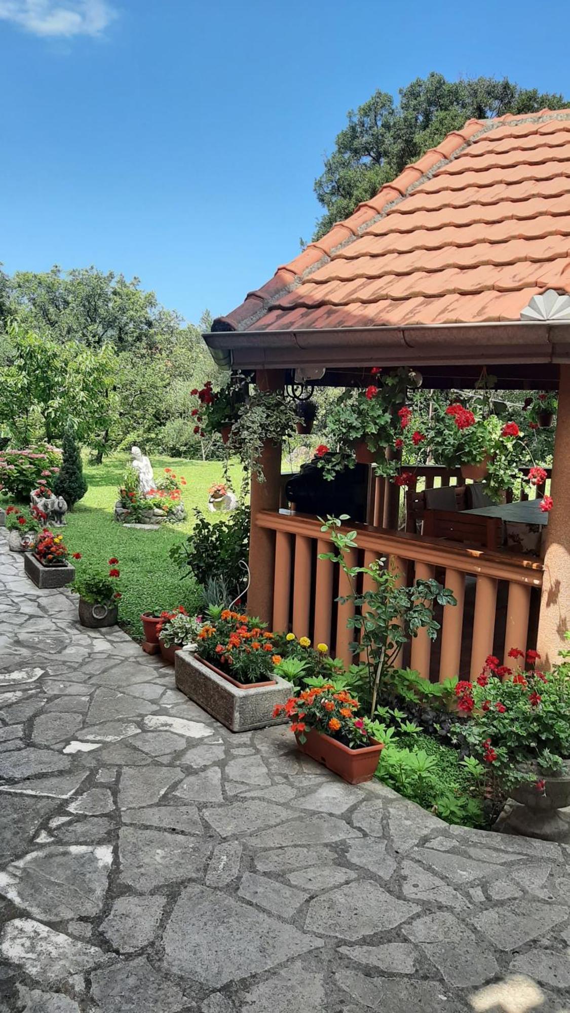 Pelinovo Apartmani "Dukic" חדר תמונה