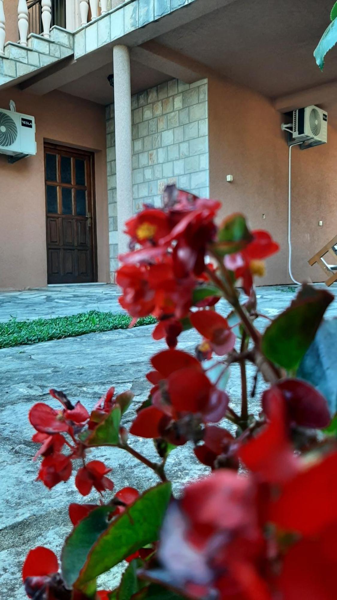 Pelinovo Apartmani "Dukic" חדר תמונה