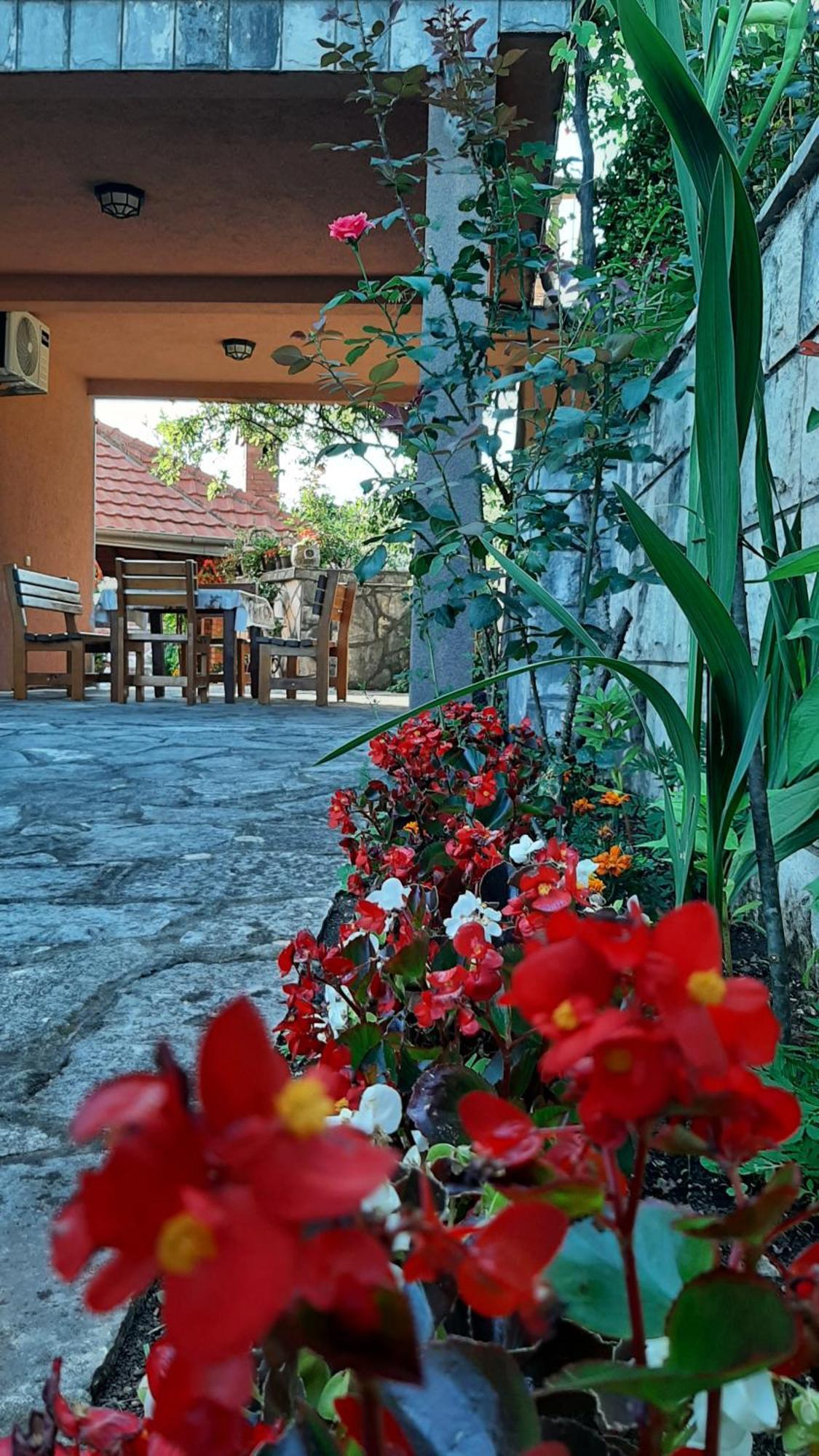 Pelinovo Apartmani "Dukic" חדר תמונה