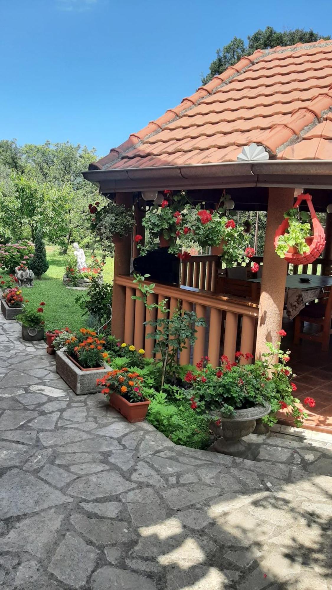 Pelinovo Apartmani "Dukic" חדר תמונה
