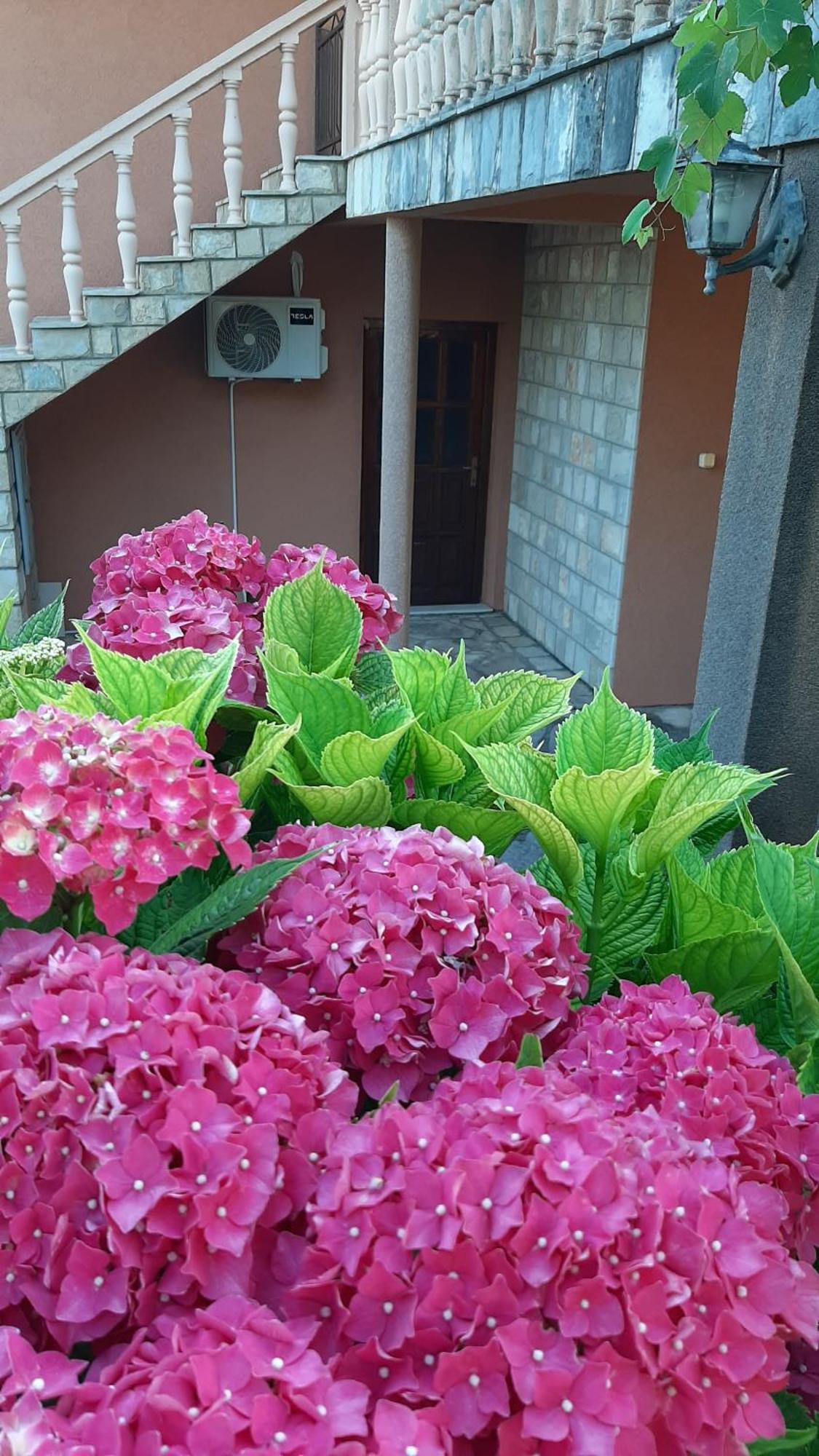 Pelinovo Apartmani "Dukic" חדר תמונה