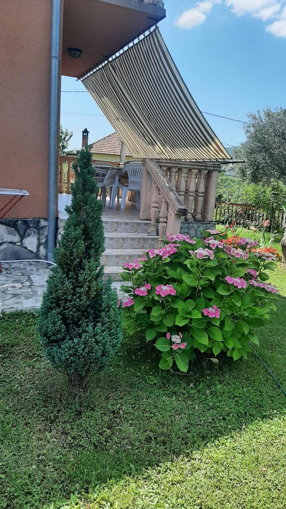 Pelinovo Apartmani "Dukic" חדר תמונה